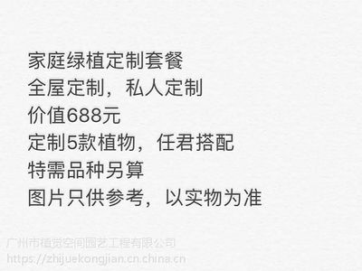 綠色相伴，生機(jī)常在——廣州植物租賃與空間定制服務(wù)精選